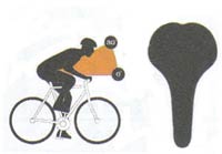 SELLE SPORT
